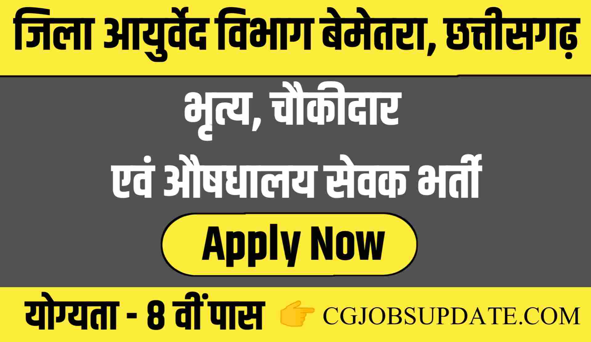 Ayurved Vibhag Bemetara Recruitment 2023